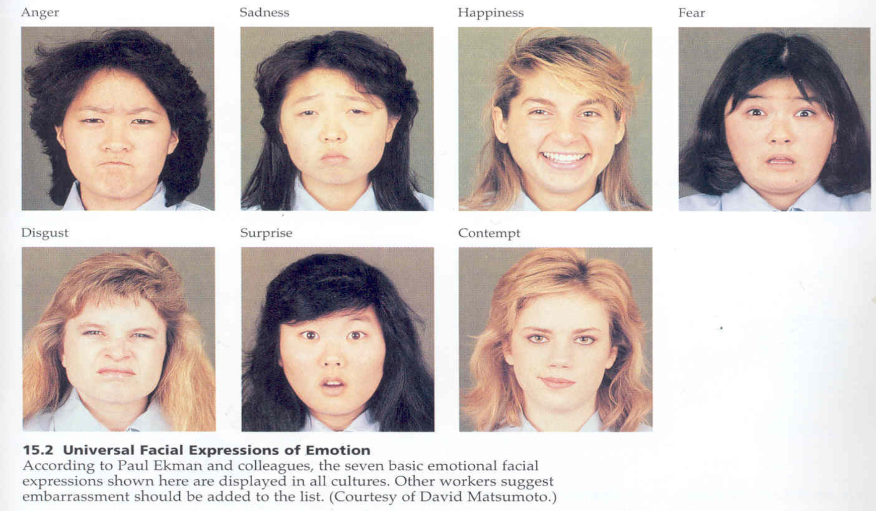 Ekmans 7 universelle Gesichtsausdrücke von Emotionen